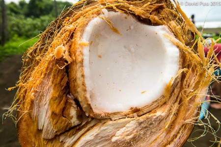 Love is all around us. You just need to see it. A coconut heart. 